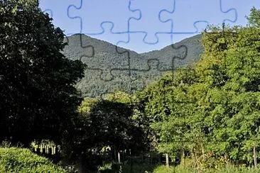 Foto jigsaw puzzle