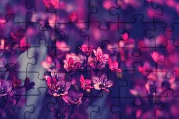 Flores. jigsaw puzzle