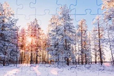 Invierno jigsaw puzzle