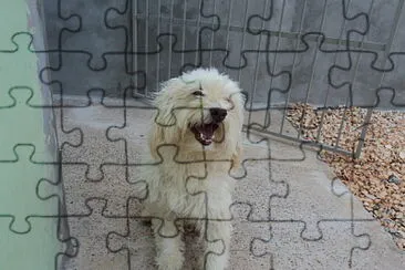 Ã‰ um quebra-cabeÃ§a simples de cachorro. jigsaw puzzle