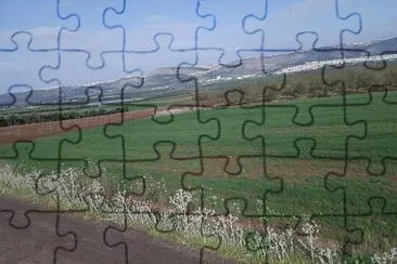 Ahuzat Barak, Israel jigsaw puzzle