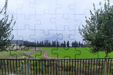 Hail in Ahuzat Barak, Israel jigsaw puzzle