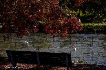 Verona, Borghetto