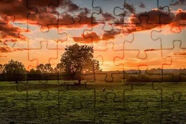 vzla jigsaw puzzle