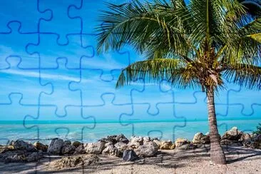 vzla jigsaw puzzle