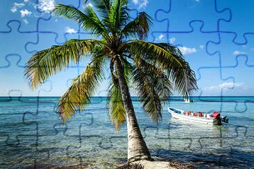 vzla jigsaw puzzle