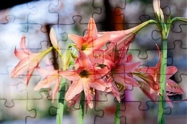 OK jigsaw puzzle