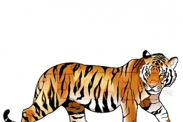 tigre