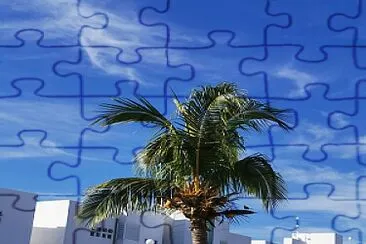 CANCUN Q. ROO jigsaw puzzle