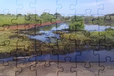 laguna jigsaw puzzle