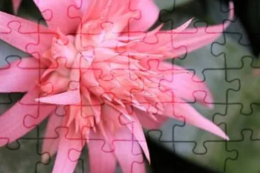 OK jigsaw puzzle