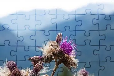 OK jigsaw puzzle