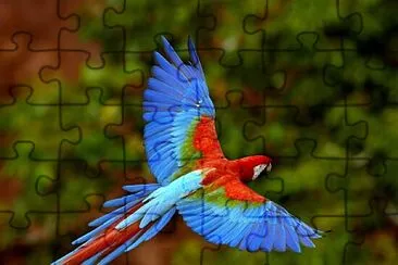 para crianÃ§as jigsaw puzzle