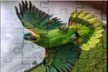 LORO jigsaw puzzle