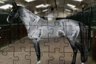 Arabo argento jigsaw puzzle