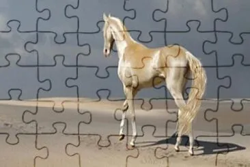 Arabo dorato jigsaw puzzle