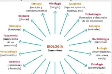 Ramas de la biologÃ­a jigsaw puzzle