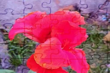 Flor jigsaw puzzle