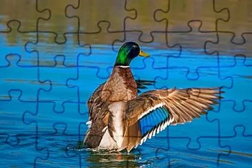 Foto jigsaw puzzle