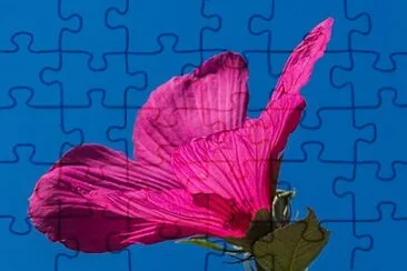 OK jigsaw puzzle