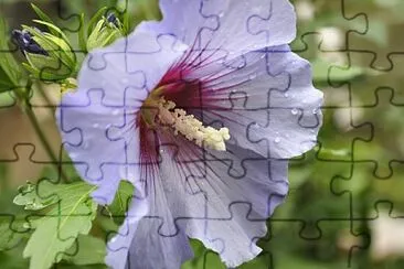 OK jigsaw puzzle