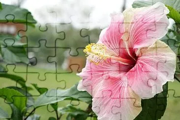 OK jigsaw puzzle