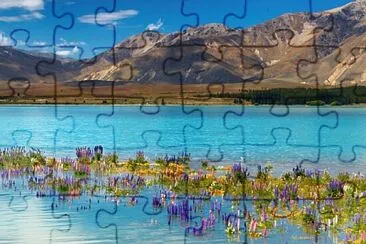 Nouvelle-ZÃ©lande cÃ´te Shutterscott jigsaw puzzle