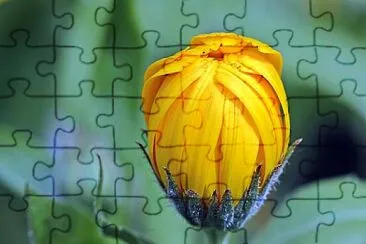 OK jigsaw puzzle