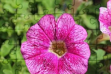 OK jigsaw puzzle