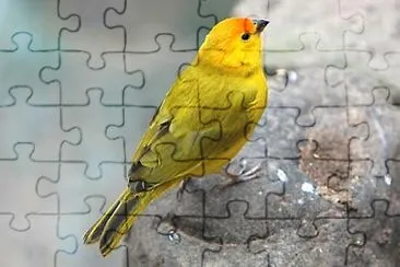 Foto jigsaw puzzle