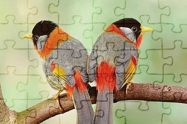 Imagem jigsaw puzzle