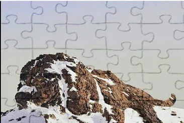 perro jigsaw puzzle