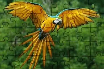 Imagem jigsaw puzzle