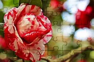 OK jigsaw puzzle