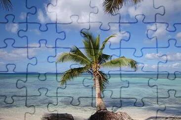 Ã®le excursion jigsaw puzzle