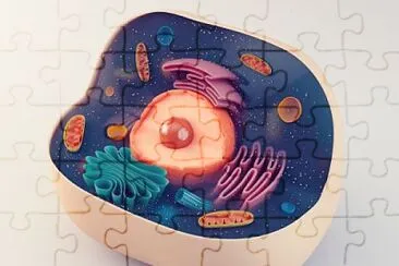 LA CÃ‰LULA jigsaw puzzle