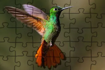 Imagem jigsaw puzzle