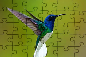 Imagem jigsaw puzzle