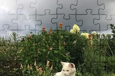 theantisocial jigsaw puzzle