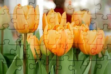 OK jigsaw puzzle