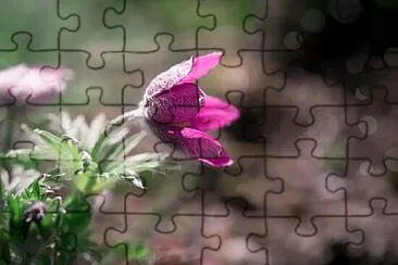 OK jigsaw puzzle