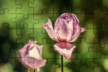 OK jigsaw puzzle