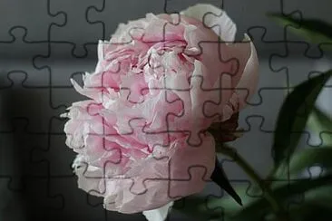 OK jigsaw puzzle