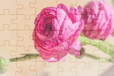 OK jigsaw puzzle