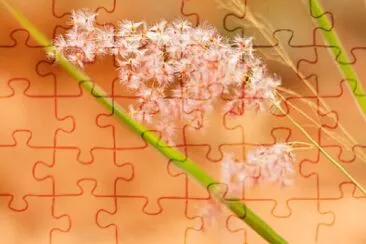 OK jigsaw puzzle