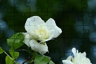 OK jigsaw puzzle