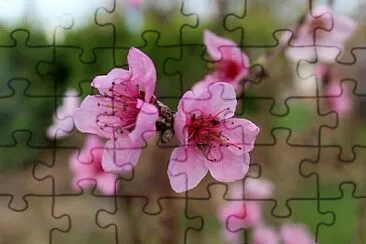 OK jigsaw puzzle