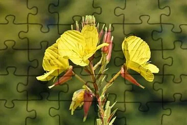 OK jigsaw puzzle