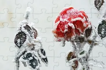 OK jigsaw puzzle