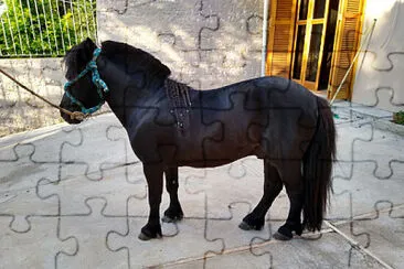 פאזל של Mini Cavalo